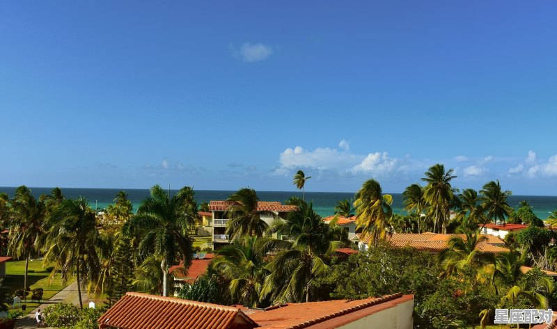 9月8日生日巧克力:蓝棕榈(Palma Bleu) 9月8日生日巧克力:蓝棕榈(Palma Bleu) - 星座运势