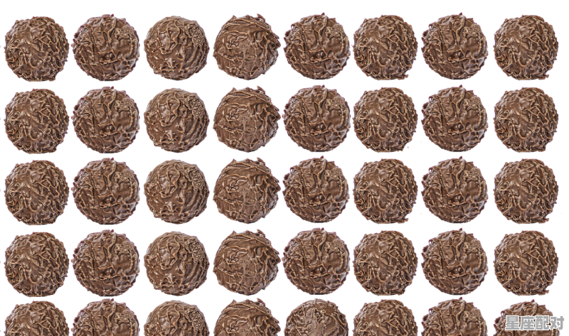4月12日生日巧克力：甘味松露球（Truffle Amere） - 星座运势