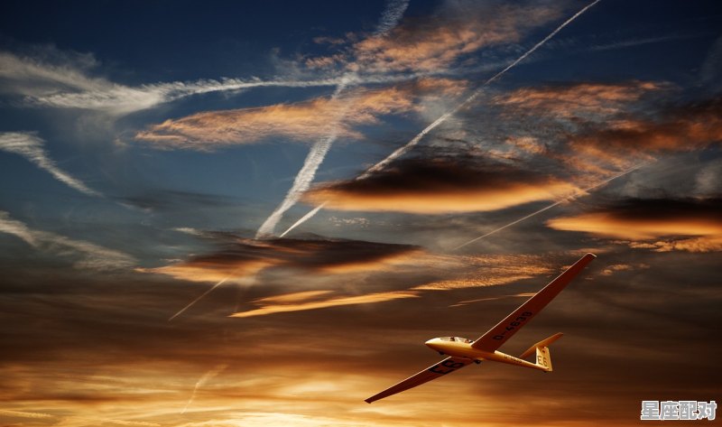 12星座谁最贱 - 星座运势