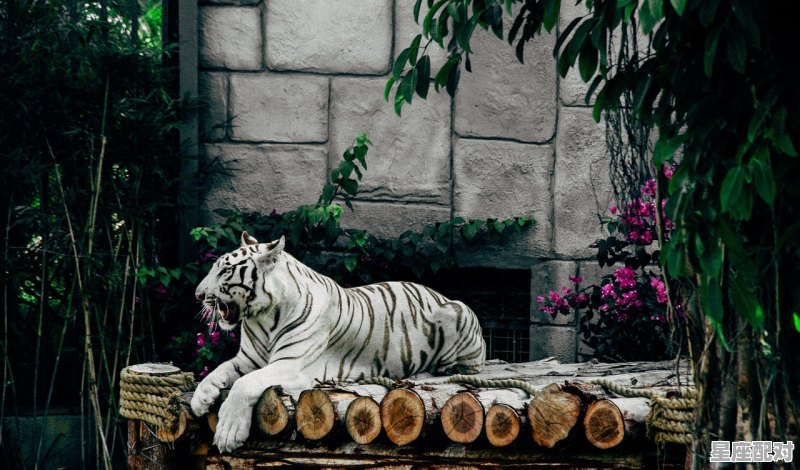 24.天勇星_西汉名将_跳涧虎_彭越 - 星座运势