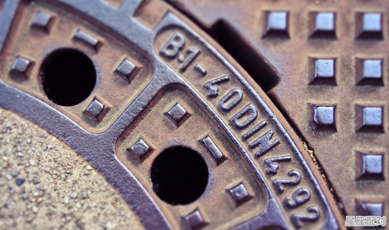 6.地贤星_前秦重臣_铁秤砣_王猛 - 星座运势