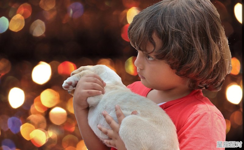属火诗意男孩名字 属火诗意男孩名字 - 星座运势