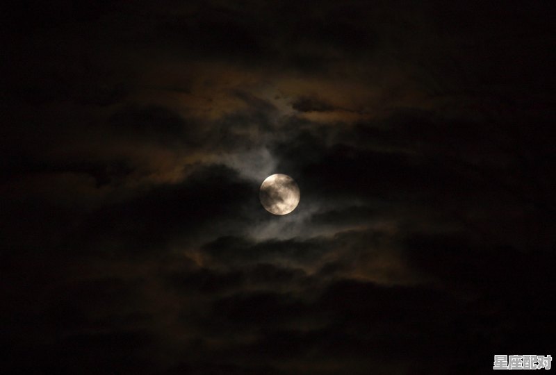 天龙座几月份出现在夜空 - 星座运势