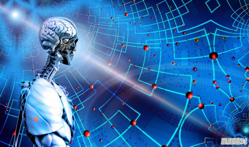 水瓶座的夫妻相处模式是什么？ - 星座运势