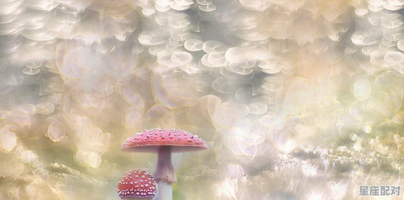 水瓶座爱情长期保鲜的方式 - 星座运势