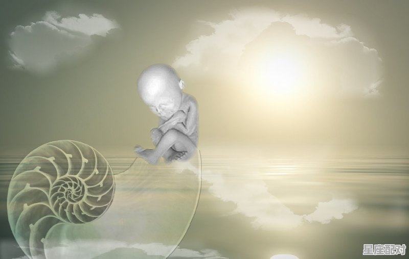 壬水日主生于午月如何取用神? - 星座运势