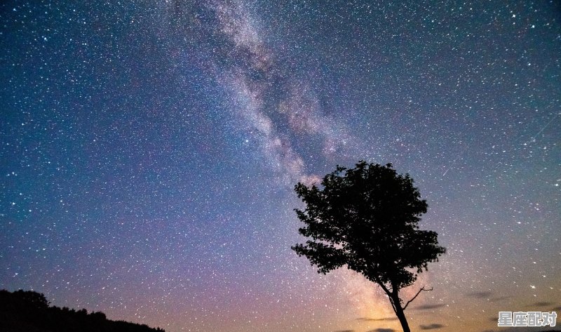 水瓶座与12星座配对，水瓶座情侣速配 - 星座运势