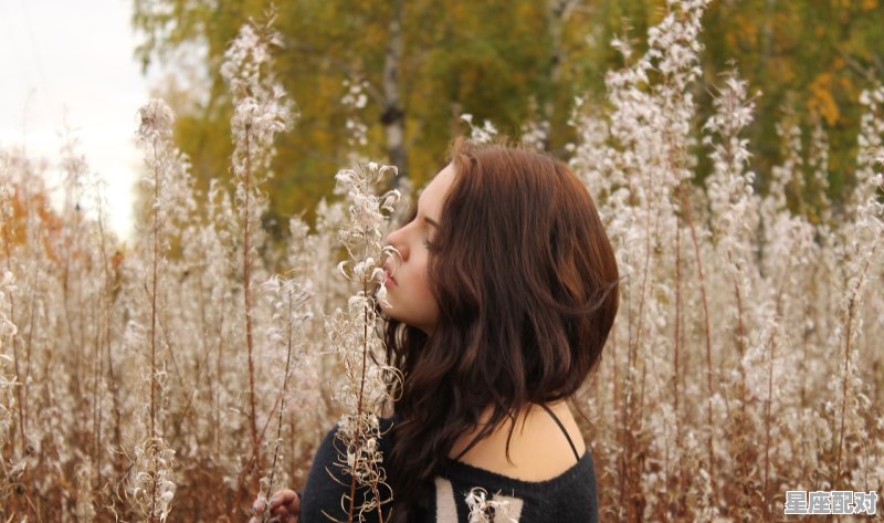 向狮子座女生表白 向狮子座女生表白 - 星座运势