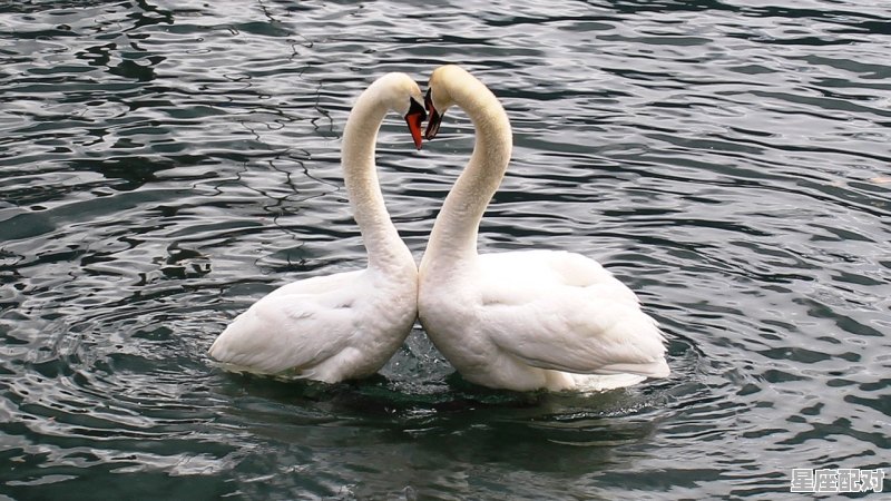 如何追求白羊座女生,与白羊女交往的技巧 如何追求白羊座女生,与白羊女交往的技巧 - 星座运势