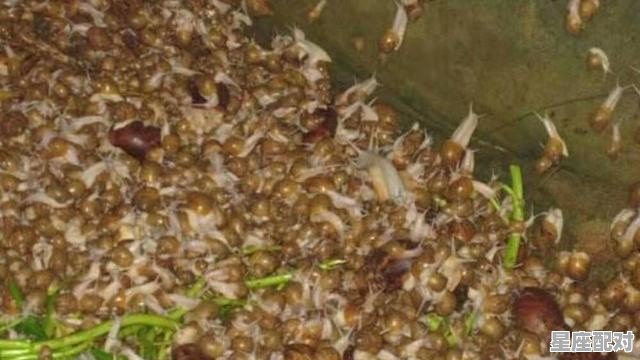 扶沟县所有饭店名字图片 - 星座运势