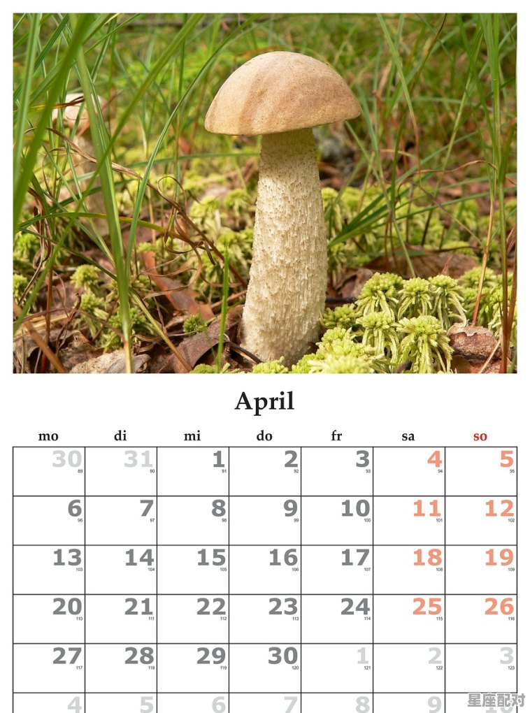 4月49是什么星座，49什么星座 - 星座运势