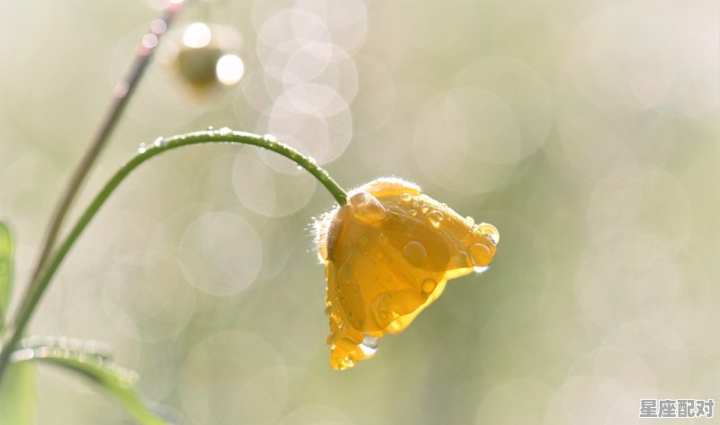 太阳摩羯月亮金牛男生特点，月亮金牛座男生的性格特征 - 星座运势