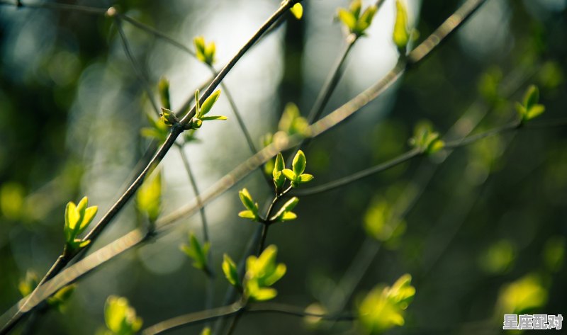 立春时节有哪些风俗，立春有哪些习俗 - 星座运势