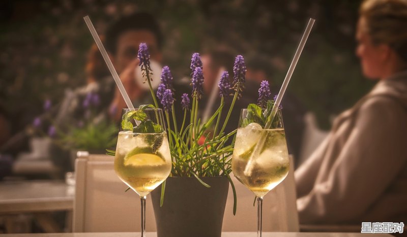 90年老酒打一动物_什么酒价格最贵？喜酒是哪个生肖 - 星座运势